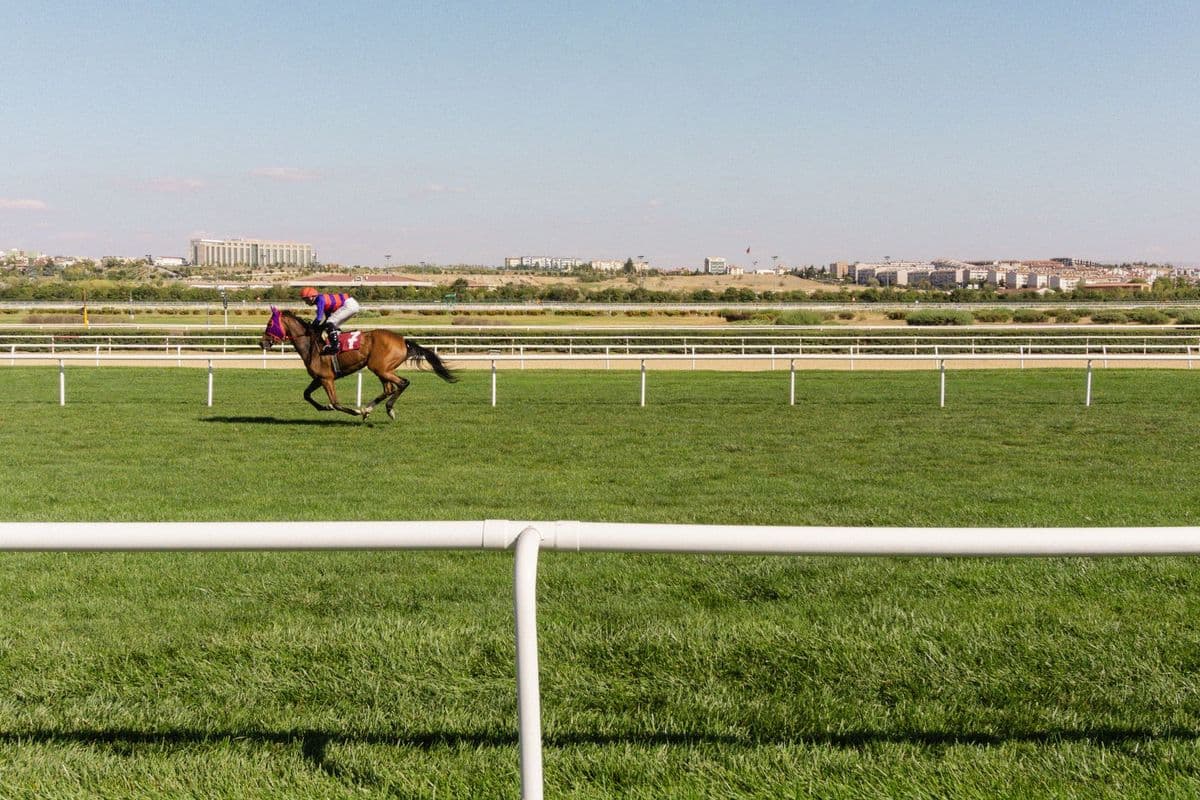 Exciting horse racing event with rider on a green racecourse, cityscape in the background.